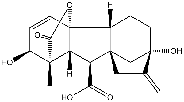 赤霉素GIBBERELLIC ACID，居然有這么神奇？